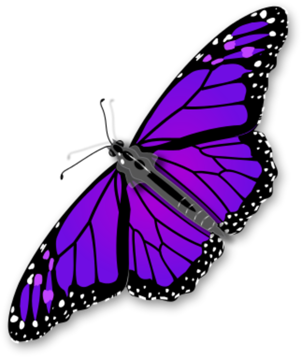 الفراشة الأرجواني شفافة PNG