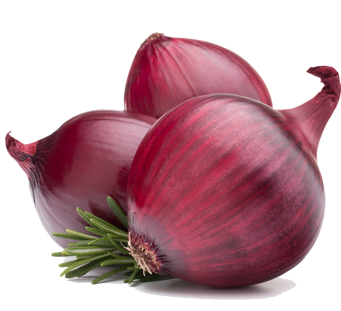 Red Onion PNG HD