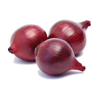 Red Onion PNG Transparent Image