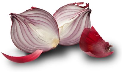 Red Onion Transparent Background