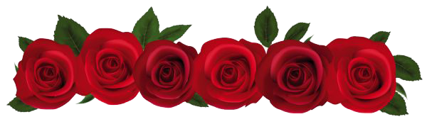 Rote Rose PNG-Datei