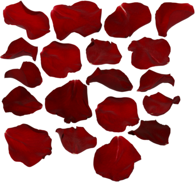 Rose Petals Transparent PNG