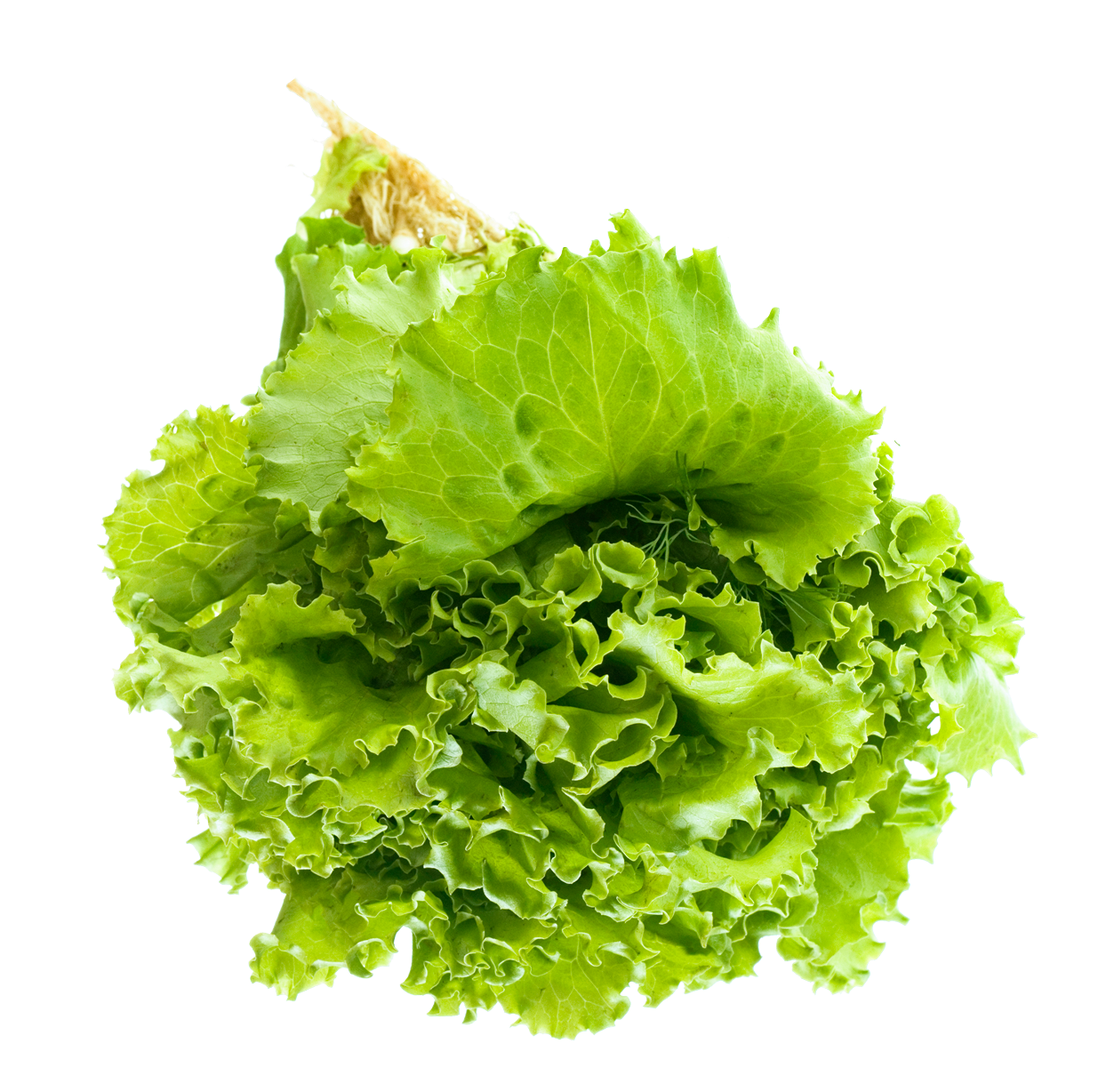 Salata PNG şeffaf görüntü