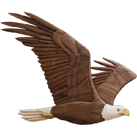 Soaring Eagle PNG Transparent Image