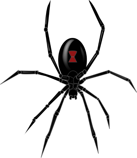 Örümcek PNG Dosyası