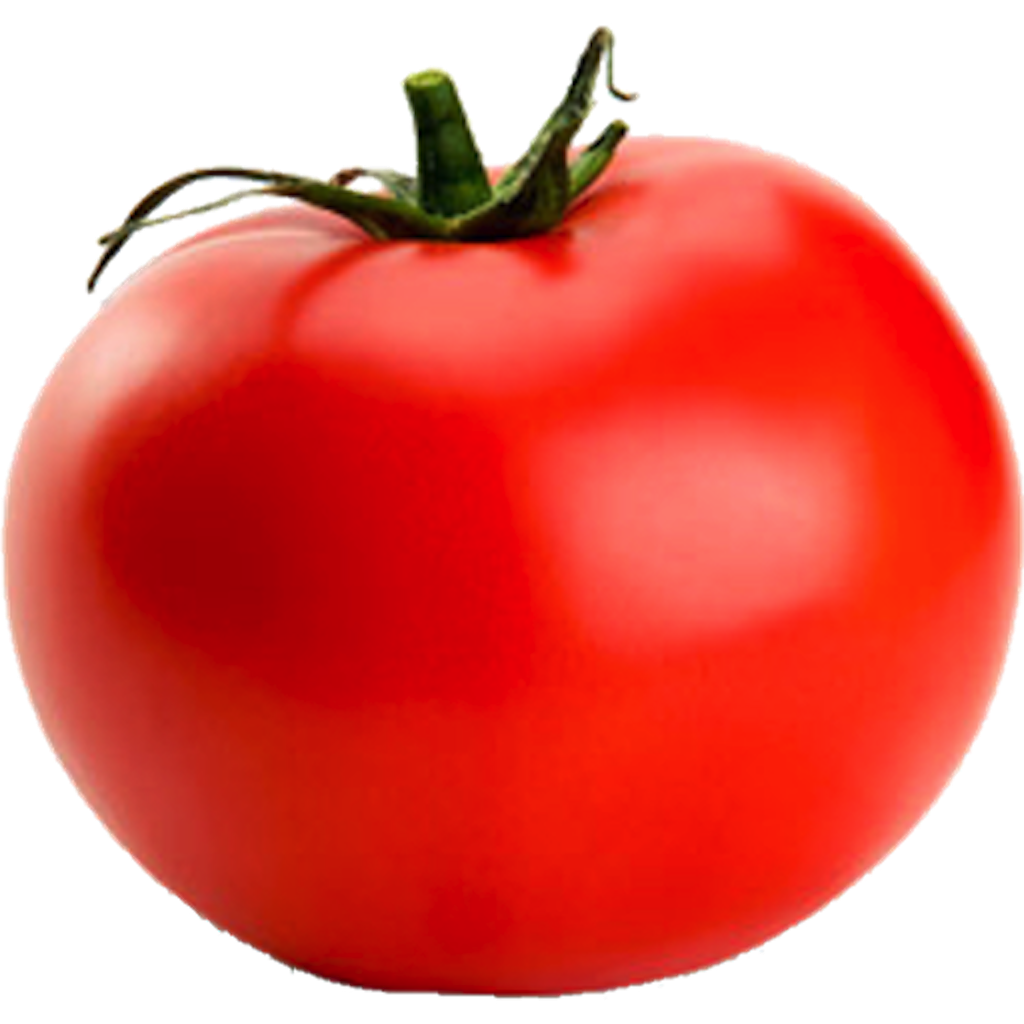Seni klip tomat PNG