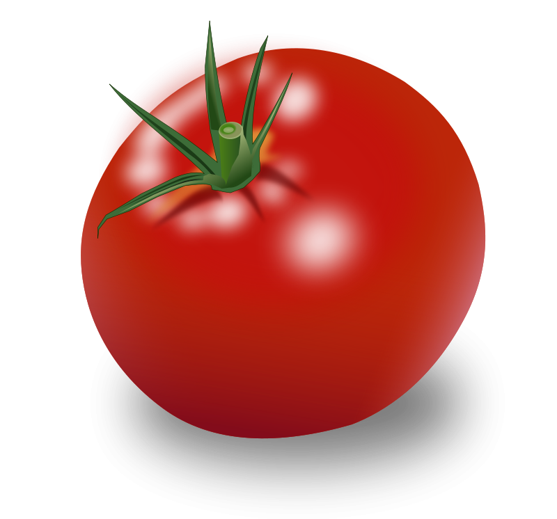 Tomato Vector Free PNG