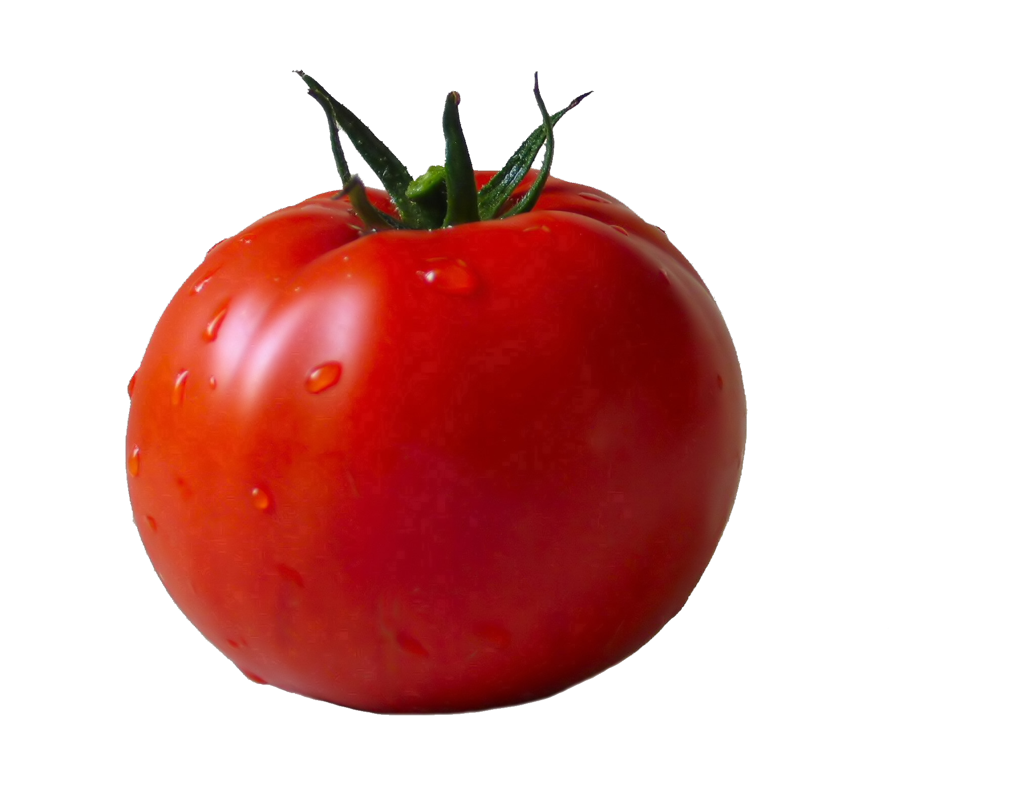 Tomaten PNG