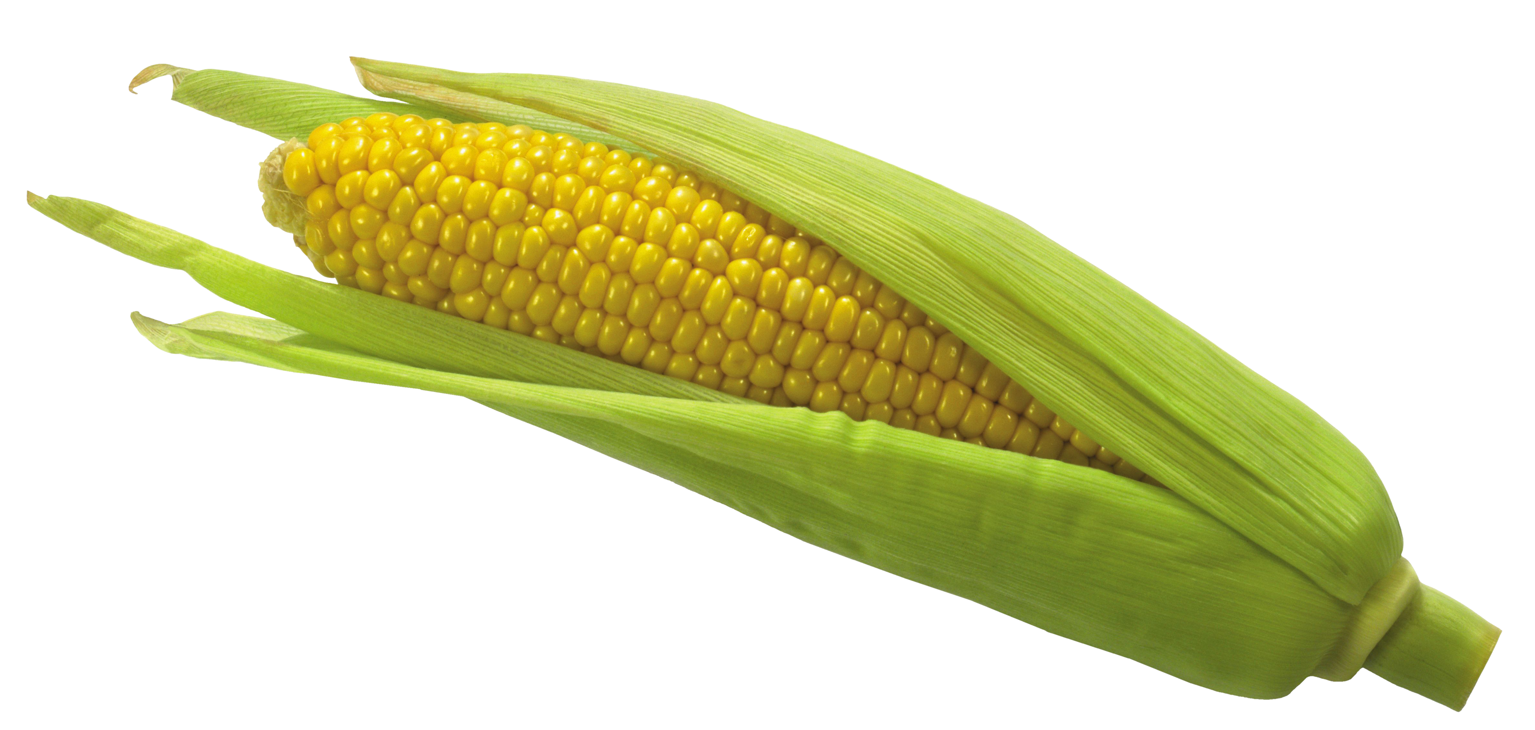Transparent Corn PNG