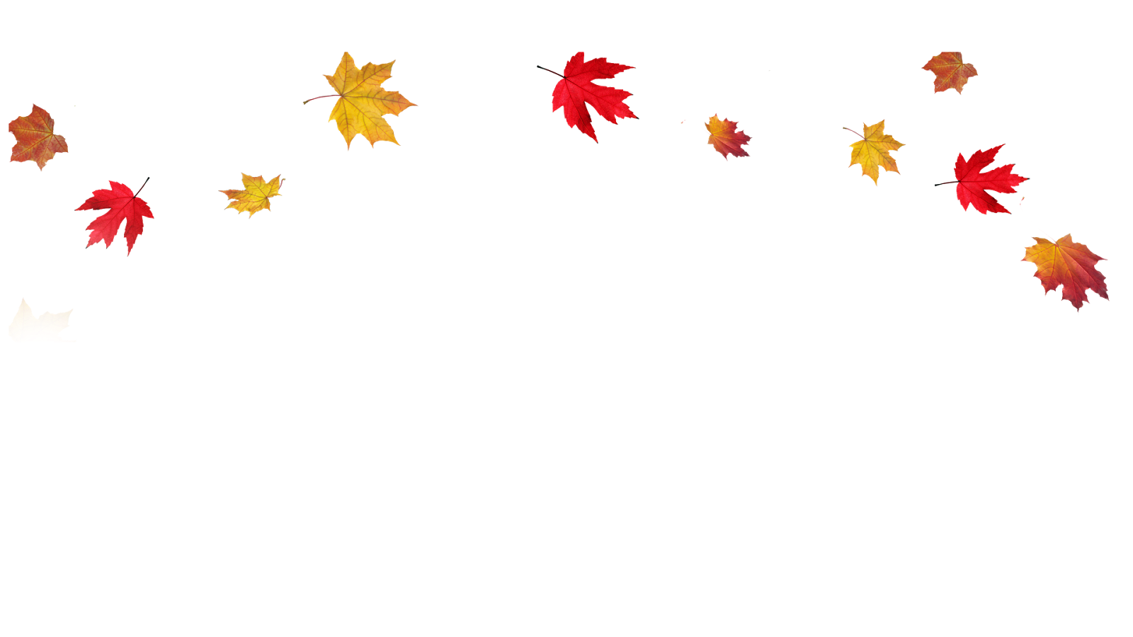 Frontera de hojas de otoño transparente PNG