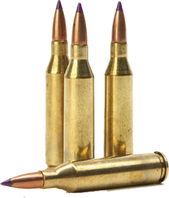 Pallottole del fucile Trasparente PNG