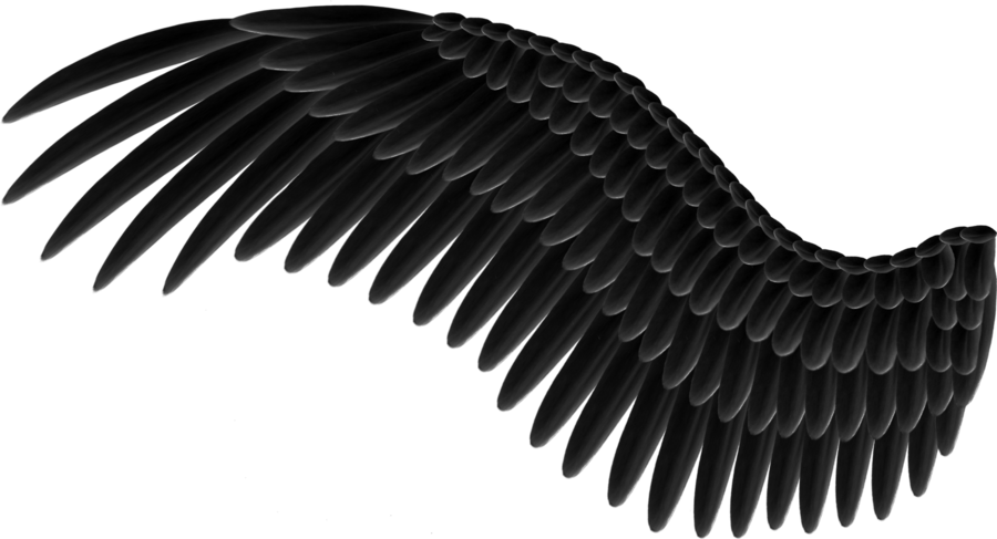 Wings PNG Pic