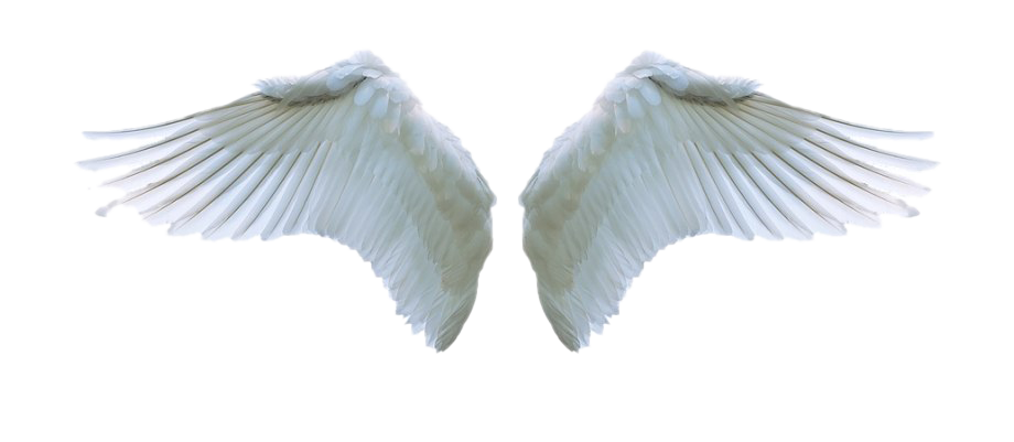 Angel Wings PNG Clipart