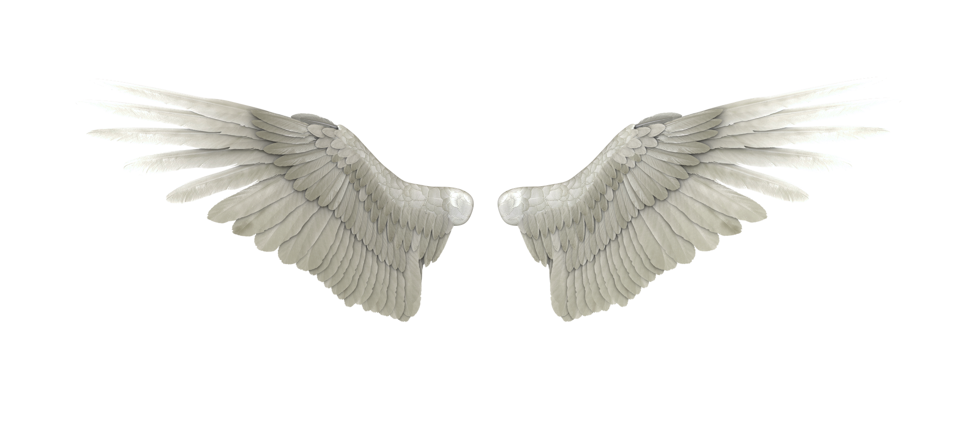 Fondo transparente de alas de ángel