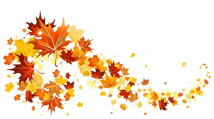 Осенние листья PNG Image