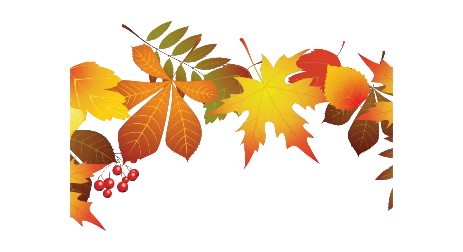 Herbstlaub PNG Transparentes Bild
