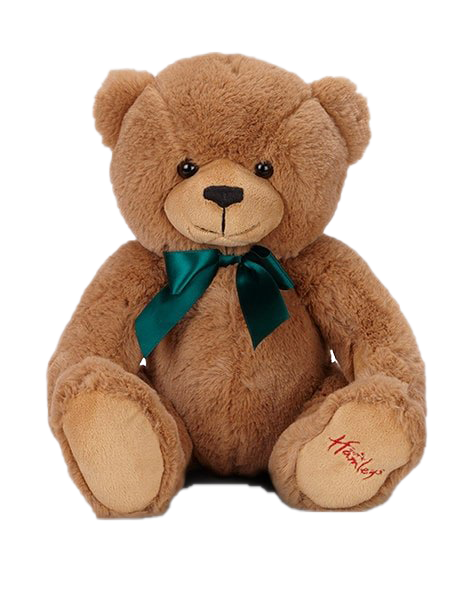 Brown Teddy Bear PNG Image