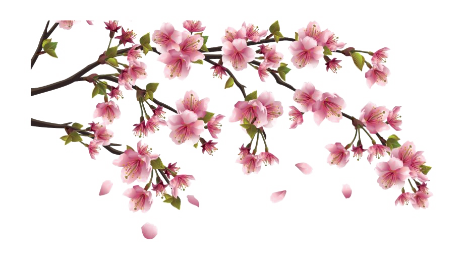 ภาพตัดปะดอกไม้จีน PNG