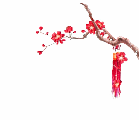 Chinese Flower PNG Transparent Picture