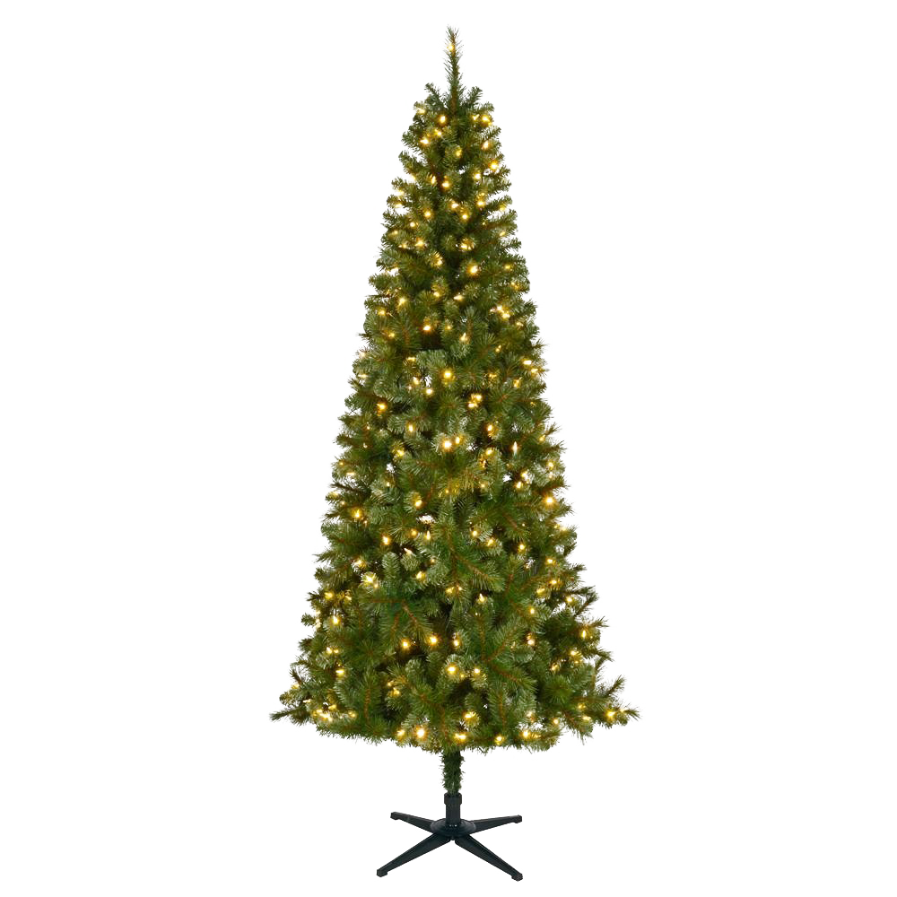 Christmas Pine Tree Background PNG