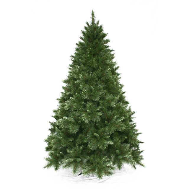 Immagine di sfondo di albero di pino di Natale