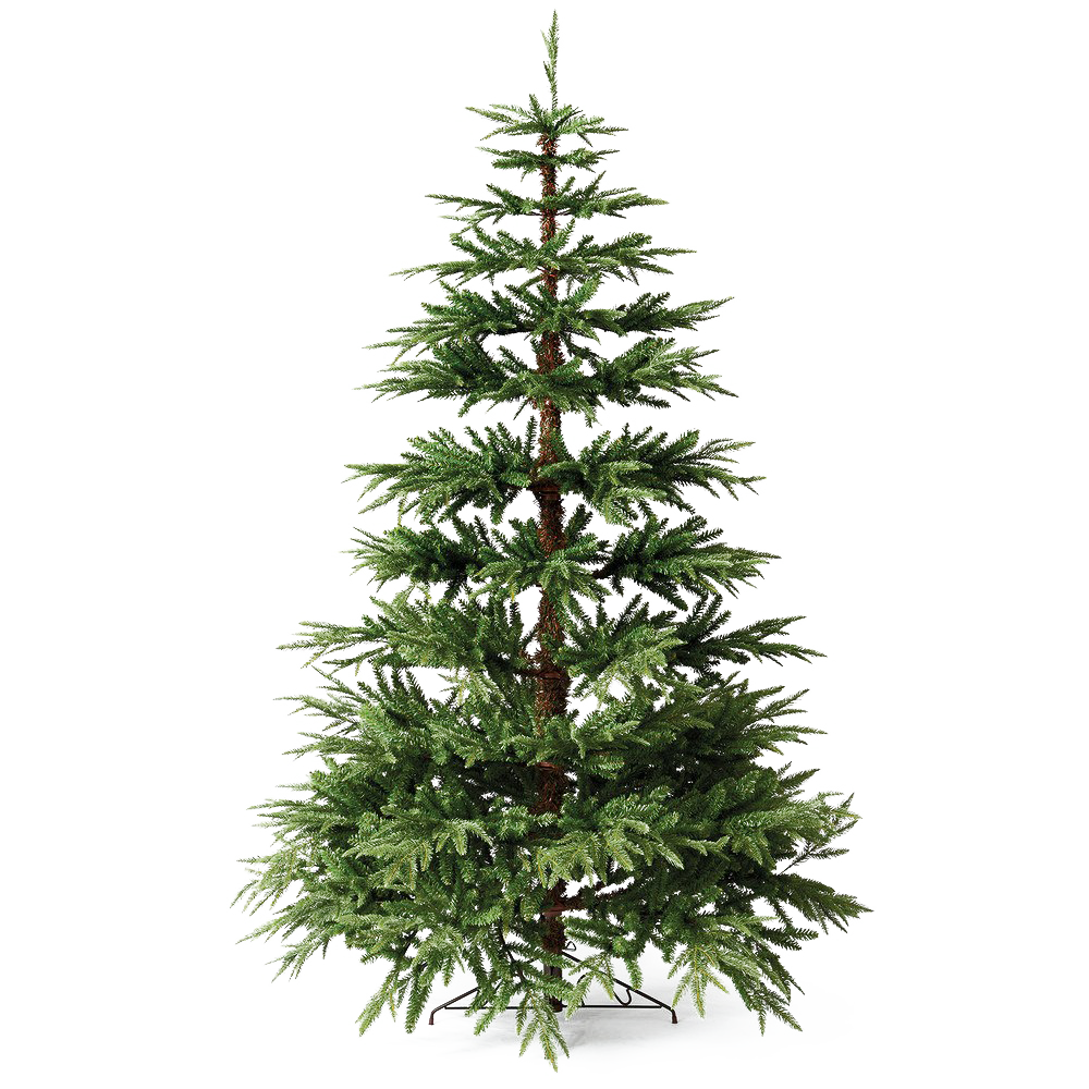 Christmas Pine Tree PNG File