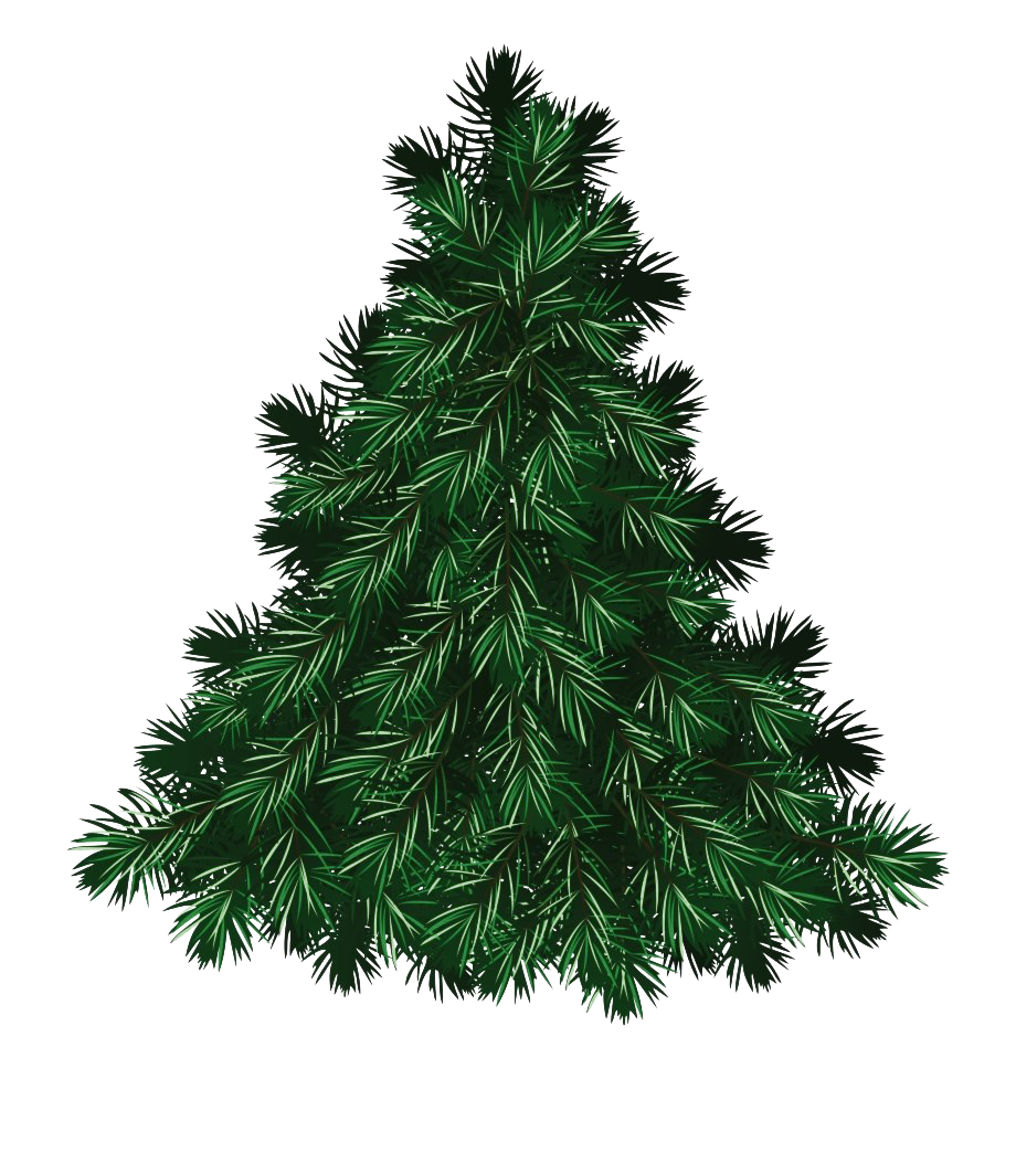 Christmas Pine Tree PNG Free Download