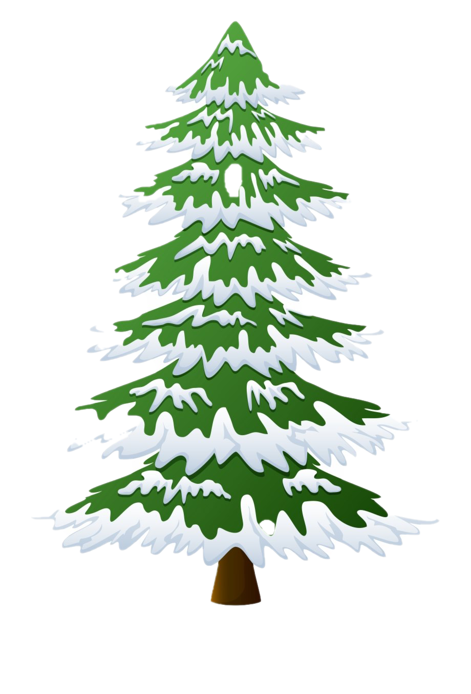 Christmas Pine Tree PNG Photo