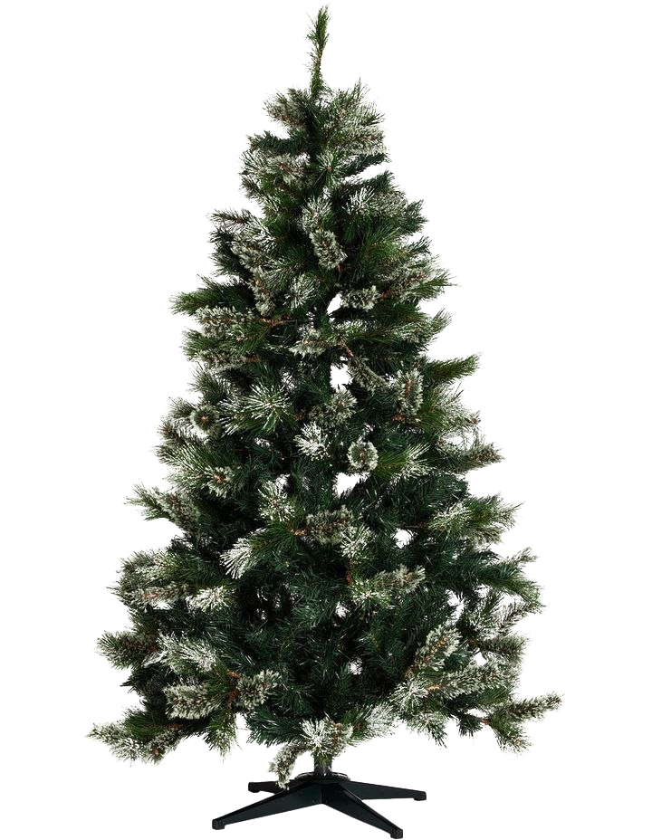 Christmas Pine Tree PNG Pic