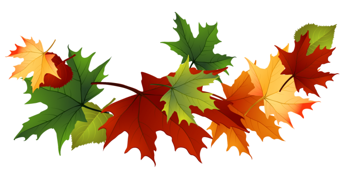 Fall Foliage PNG File