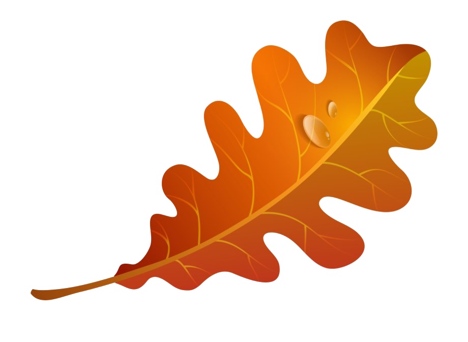 Fall Leaves PNG Image