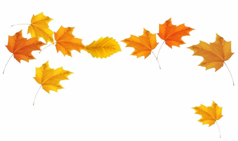 Осенние листья прозрачные PNG