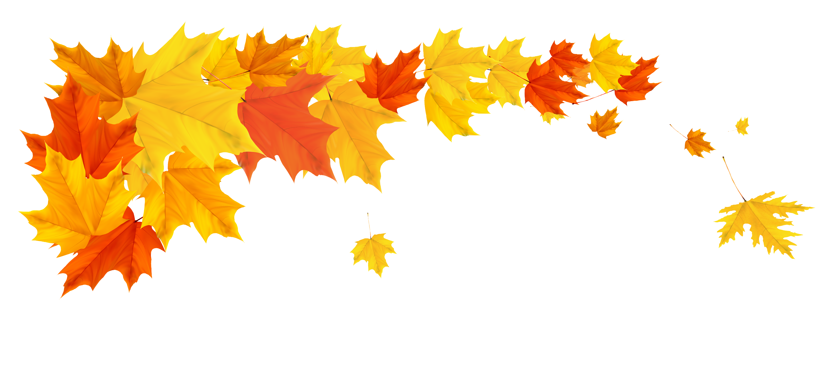 Fall Tree Transparent Images PNG