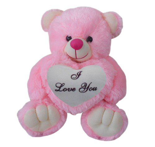 Love Teddy Oso PNG Transparent Image