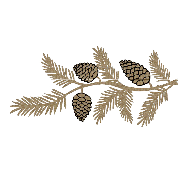 Pinecone PNG Photo