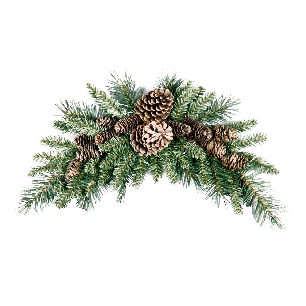 Pinecone PNG Picture