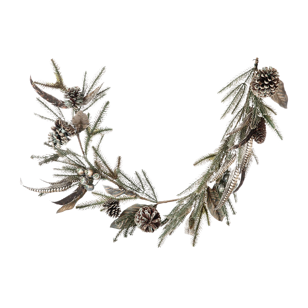 PINECONE PNG