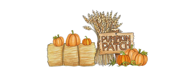 Pumpkin Patch PNG Picture