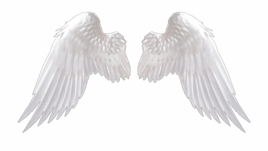 Archivo PNG de alas de ángel realista