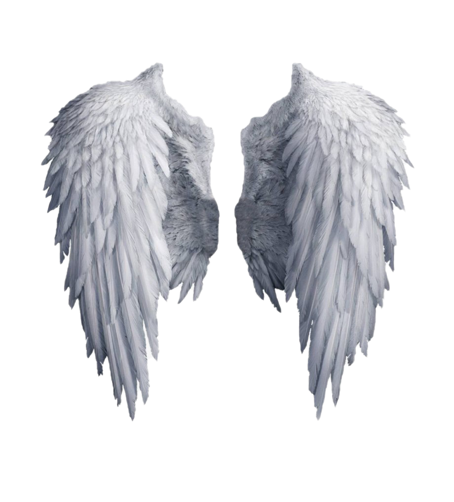 Imagen de PNG de alas de ángel realista