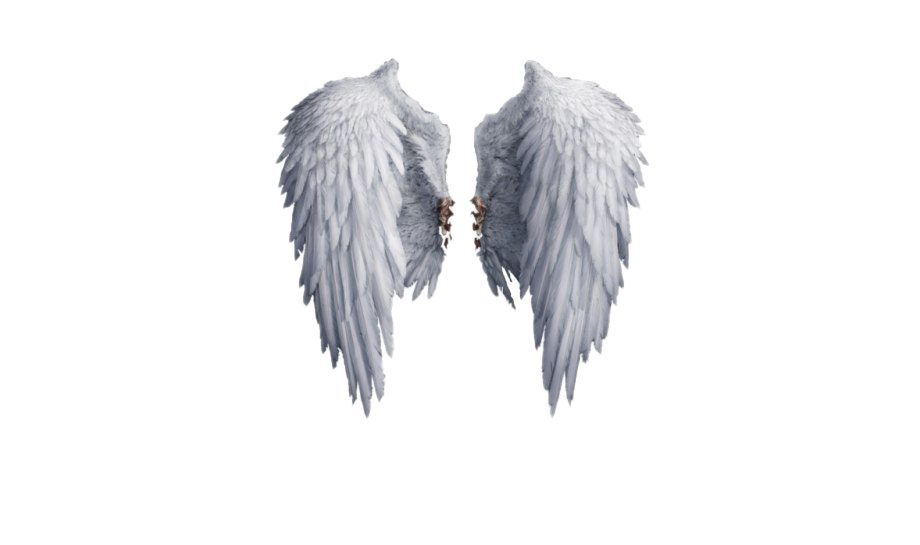 Las alas de ángel realistas PNG fotos