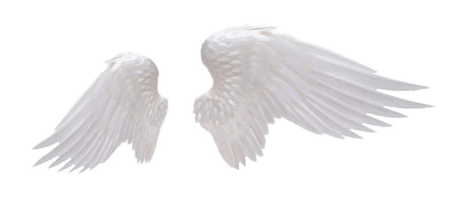 Gerçekçi melek kanatları PNG şeffaf görüntü