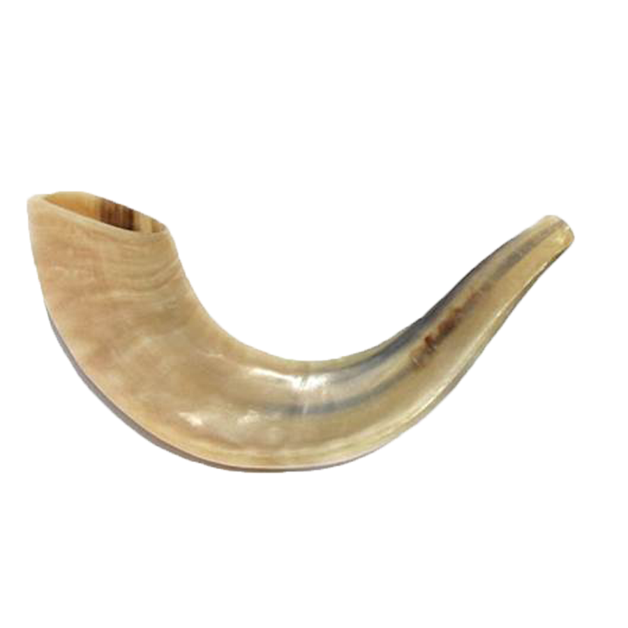 Shofar PNG Picture