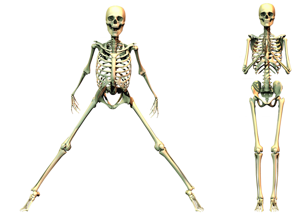 Жуткий скелет PNG Clipart
