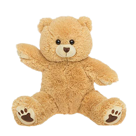 Stuffed Teddy Bear PNG Image