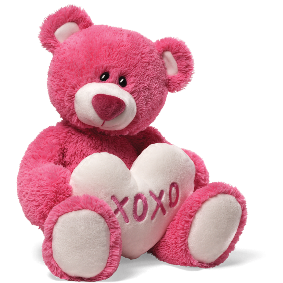 Teddy Bear PNG Picture