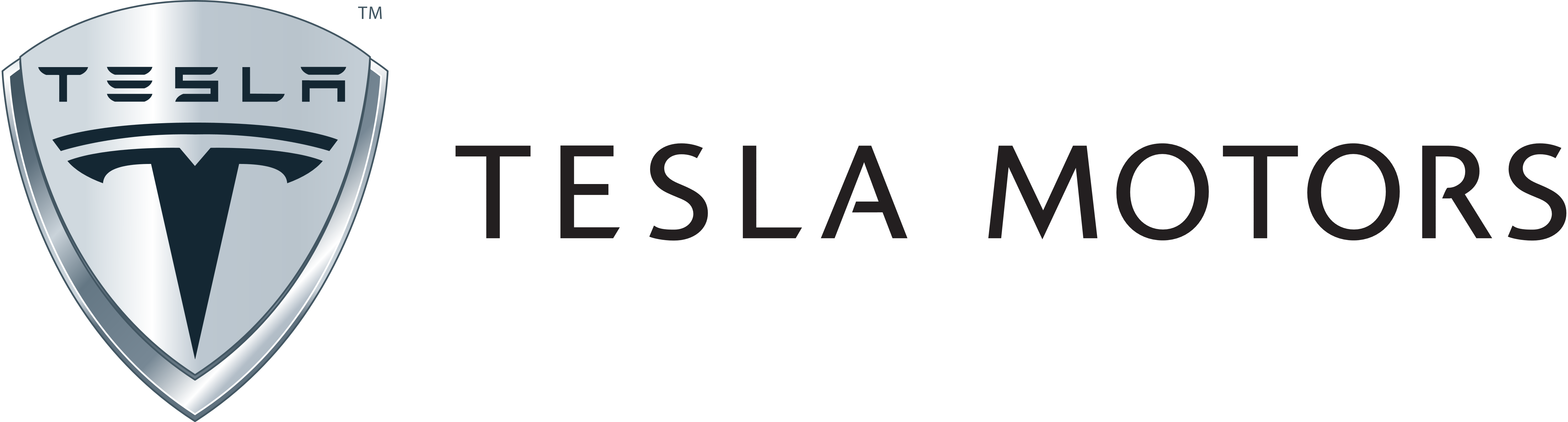 Tesla logo transparente PNG