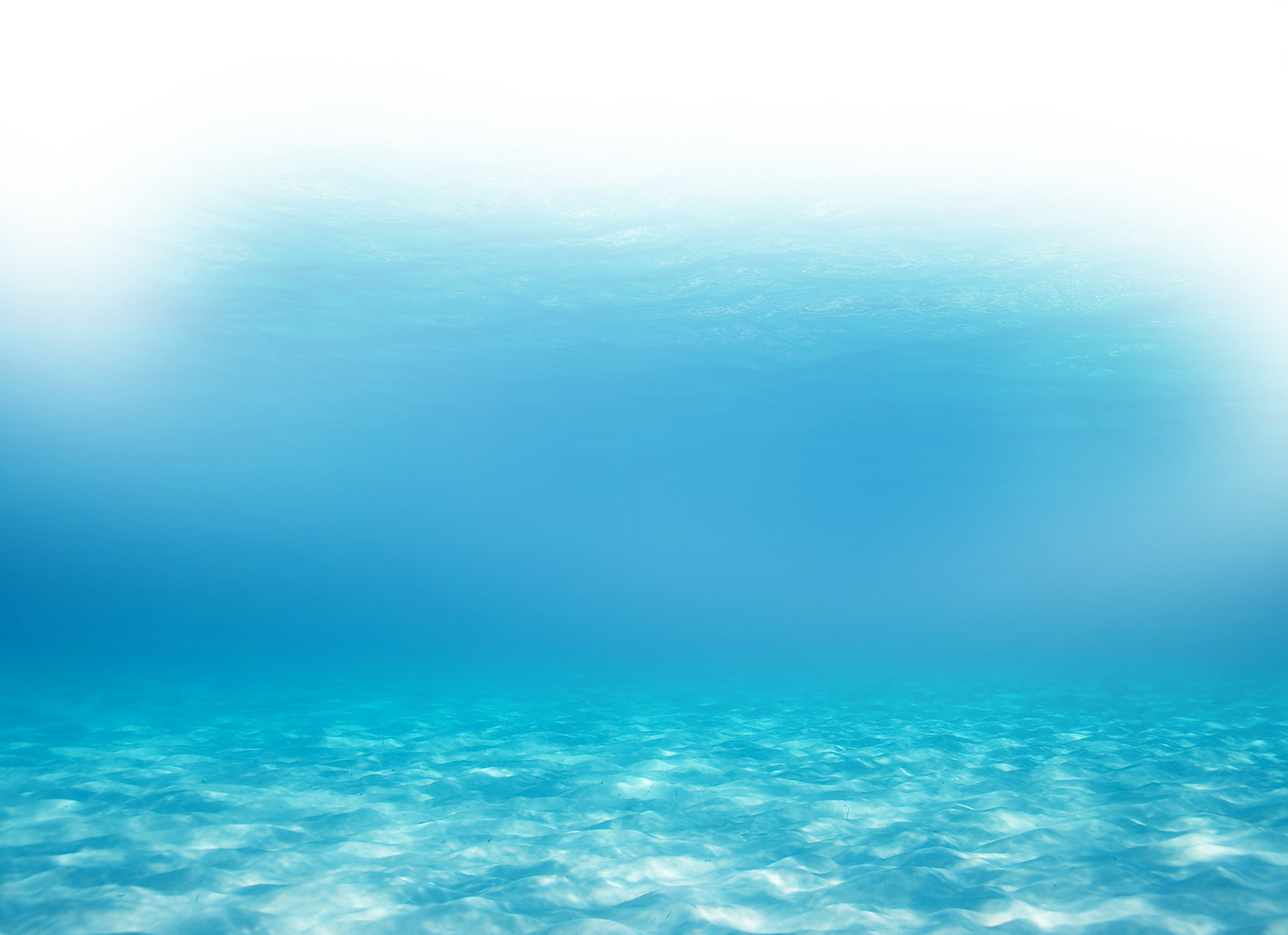 Onderwater PNG-afbeelding