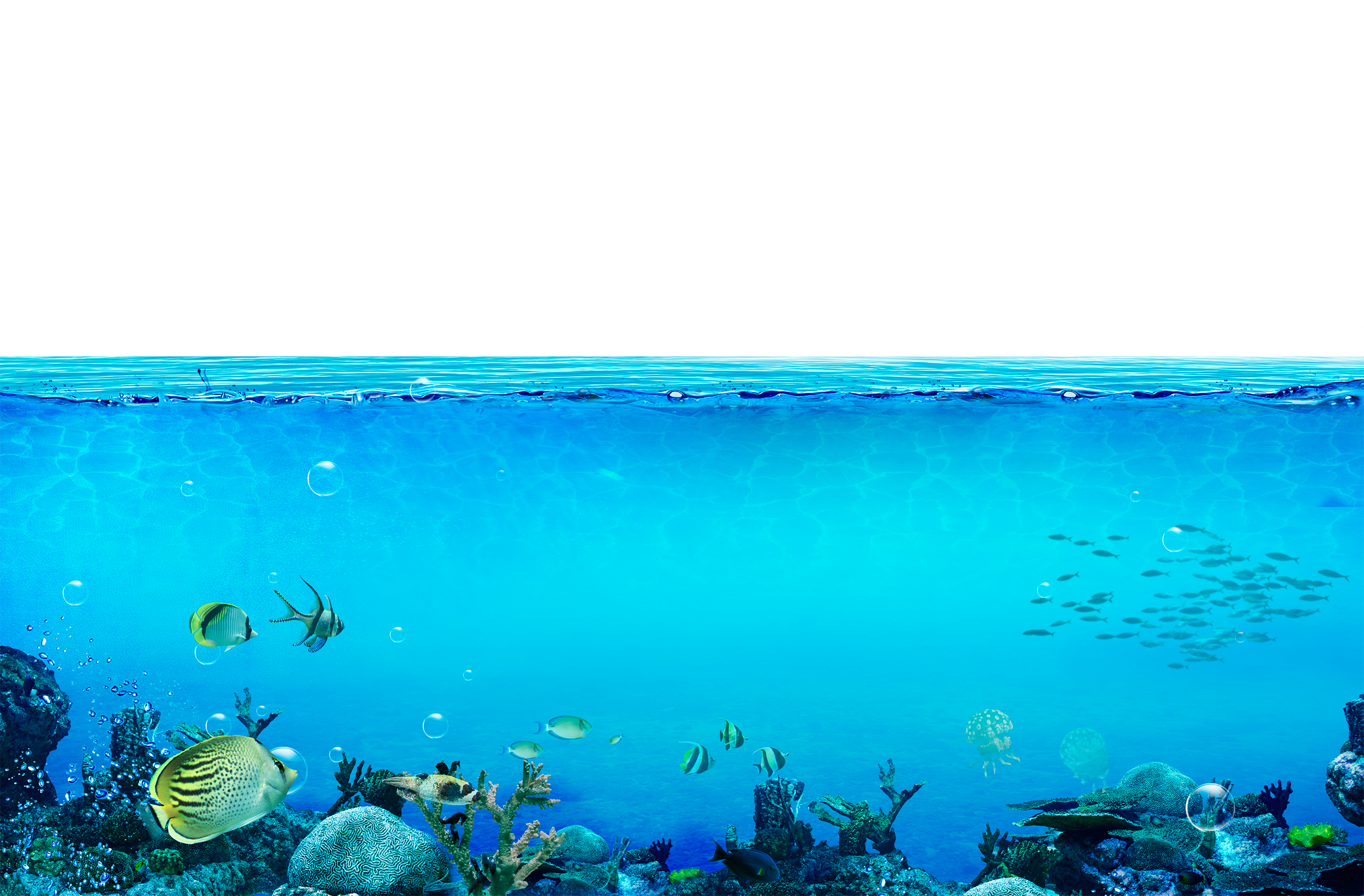 Underwater Transparent Background