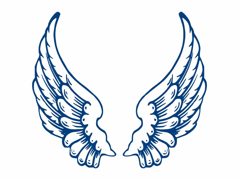 Vector Angel Wings PNG Clipart